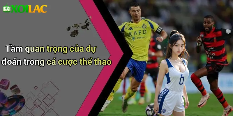 Tầm quan trọng của dự đoán trong cá cược thể thao