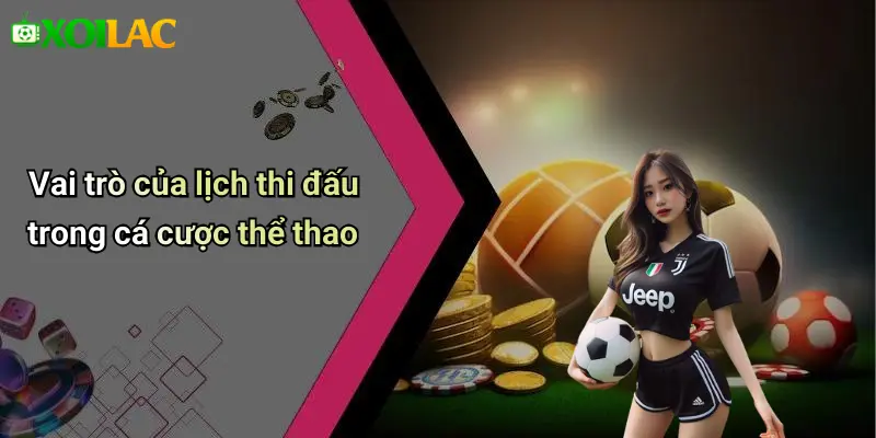 Vai trò của lịch thi đấu trong cá cược thể thao