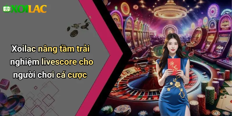 Xoilac nâng tầm trải nghiệm livescore cho người chơi cá cược