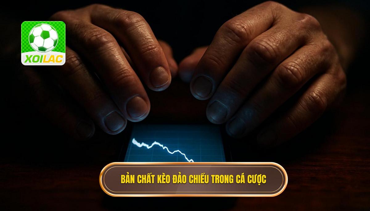 Bản chất thực sự của kèo đảo chiều trong cá cược bóng đá