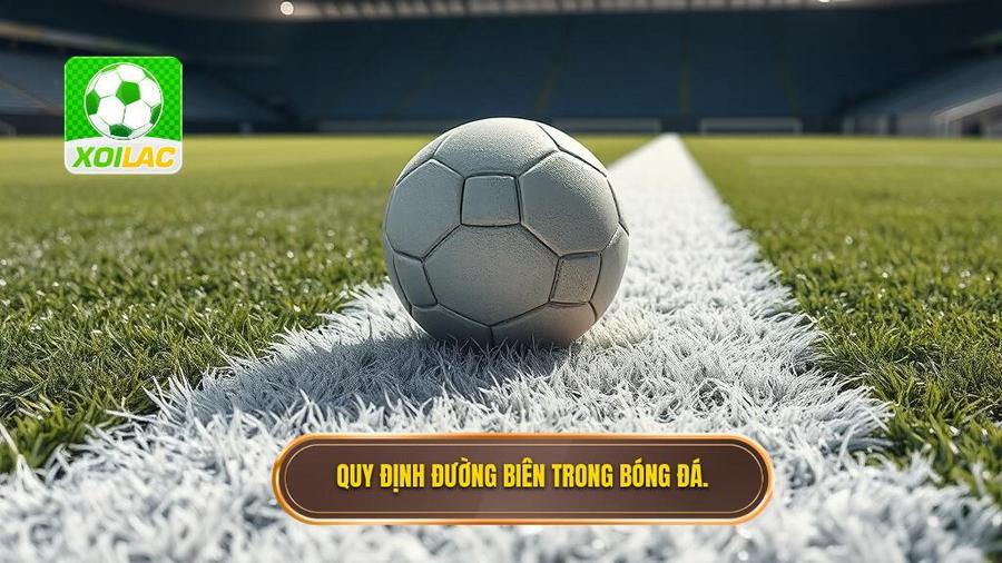 1. Quy định đường biên trong bóng đá.