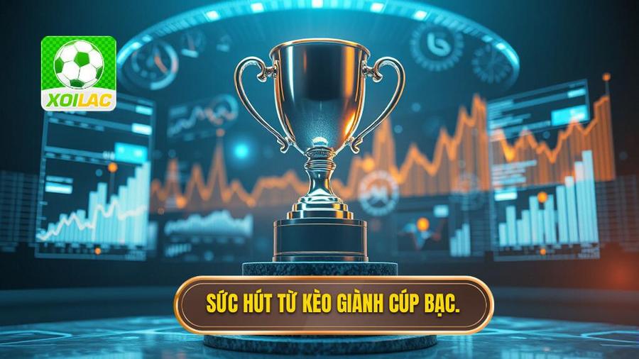 Phân tích đa chiều: Tại sao kèo giành cúp bạc lại thu hút?